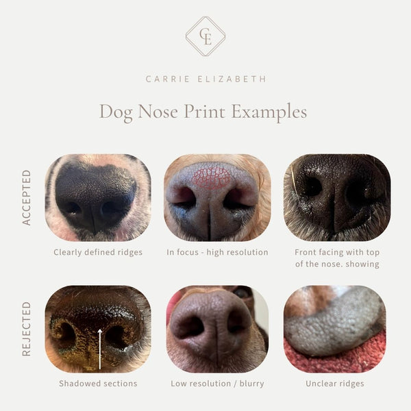 Custom Made Treasured Dog Nose Print Pendant