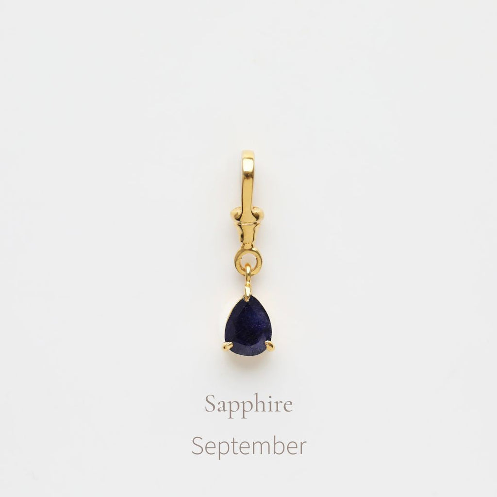 Birthstone Albert Vintage Dog Clip Charm