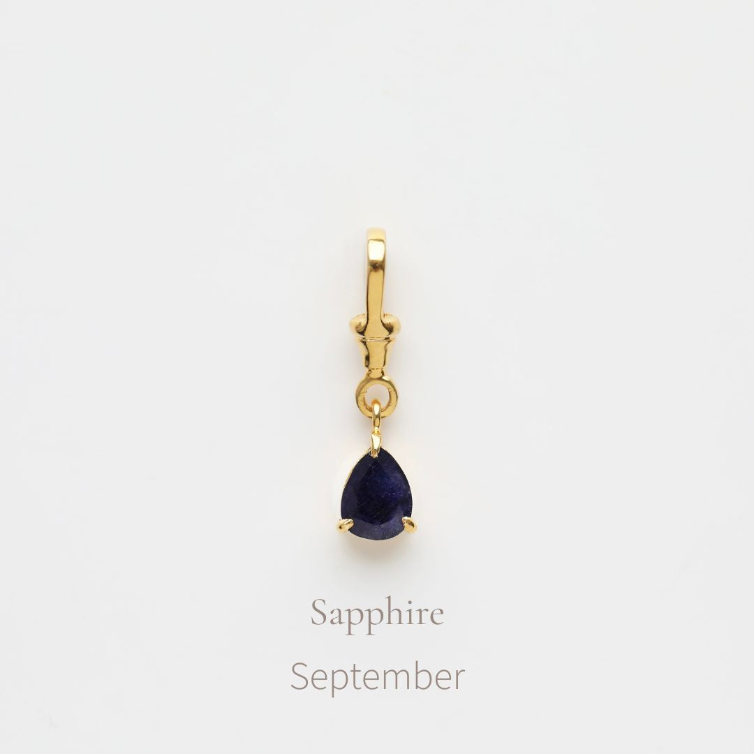 Birthstone Albert Vintage Dog Clip Charm
