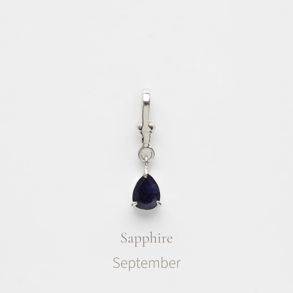 Birthstone Albert Vintage Dog Clip Charm